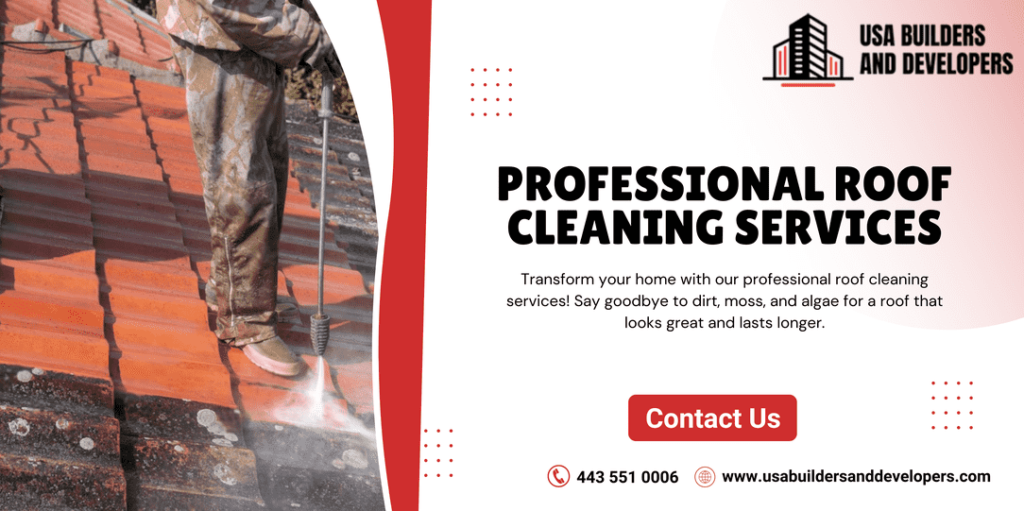 professional roof cleaning